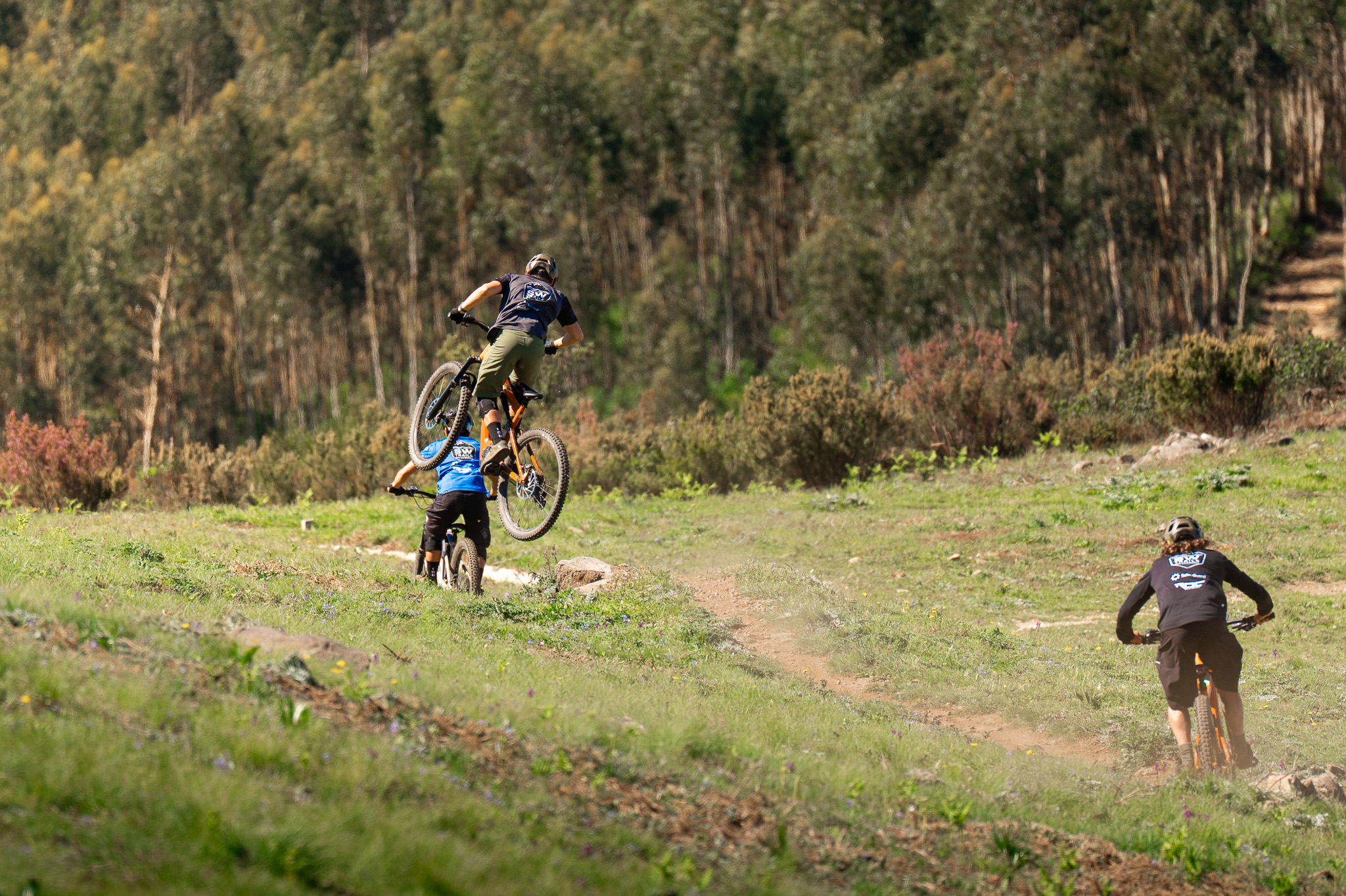 Riders on forest singletrack in the Algarve hills